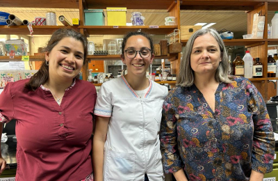Harina de sorgo del NEA permite avances para tratar la diabetes