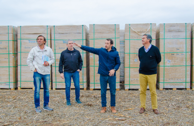 Inicio de obra para la tercera planta de energía solar más grande del país