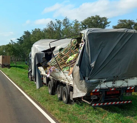 camion.jpg
