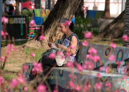 mujer flores.JPG