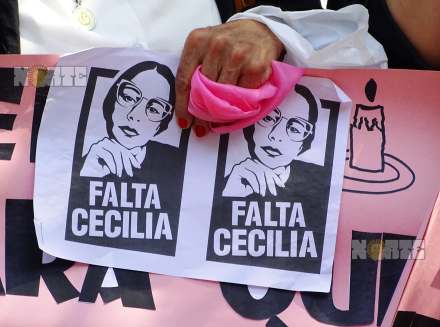 Cecilia Camara de Apelaciones.JPG