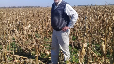 "Si no elevan de Secretaría a Ministerio de Agricultura será difícil remontar"