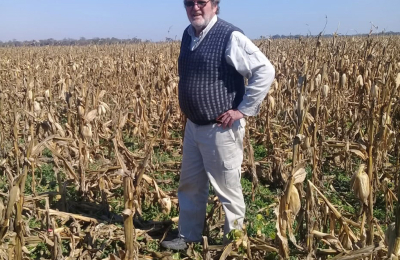 "Si no elevan de Secretaría a Ministerio de Agricultura será difícil remontar"