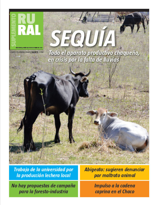 Sequía: todo el aparato productivo chaqueño, en crisis por la falta de lluvias