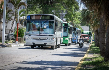transporte colectivos.jpg