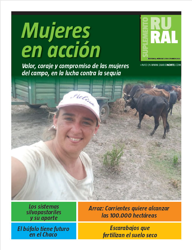 Mujeres en acción