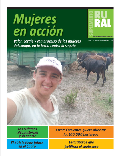 Mujeres en acción