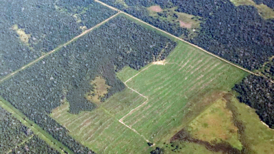 Crearon un registro provincial de reservas naturales privadas