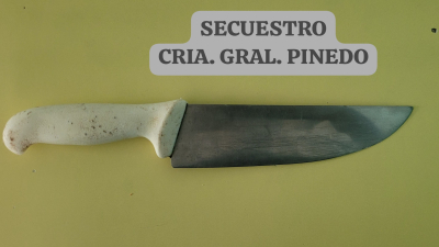 Pinedo: brutal pelea entre jóvenes con un chuchillo carnicero