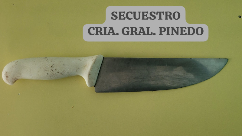Pinedo: brutal pelea entre jóvenes con un chuchillo carnicero
