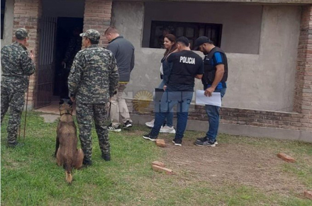 caso Luz dos.jpeg