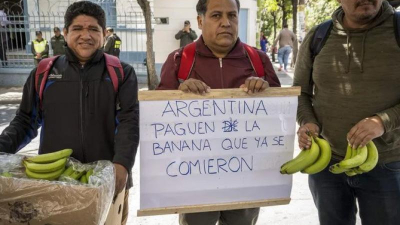 Productores de Bolivia exigen que Argentina "pague las bananas que ya comieron"