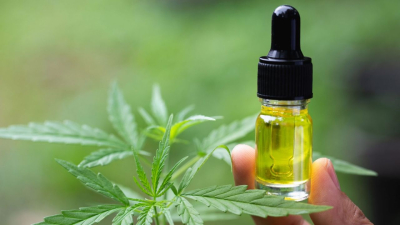 "El uso médico del cannabis se extendió gracias a su legalización e investigación"