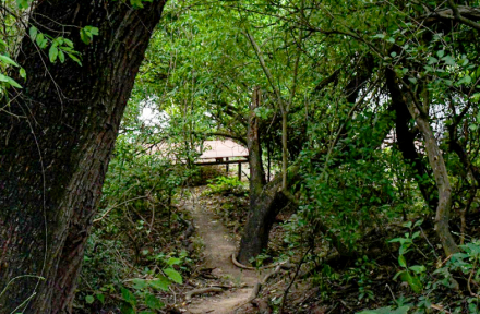 turismo naturaleza10.jpg