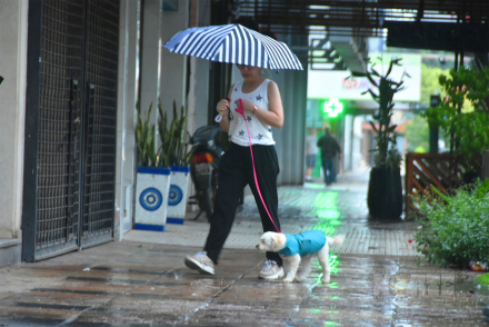 lluvias.jpg