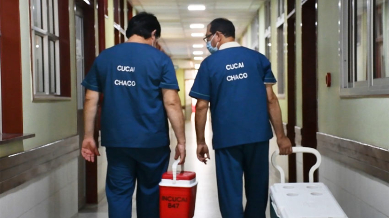 El Cucai Chaco ayudó a que 38 pacientes recibieran trasplantes este año