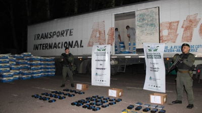 Banana blanca: incautan cocaína camuflada en un embarque de plátano