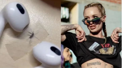 Atrapó un mosquito y "lo torturó" con música de La Joaqui