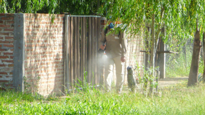 Panzardi denuncia "alarmante escasez" de recursos para luchar contra el dengue