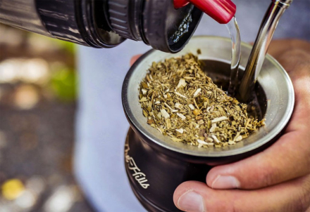 yerba.jpg