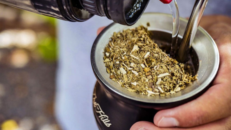 Estudian la posibilidad de generar yerba descafeinada