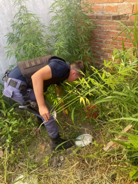 droga.png
