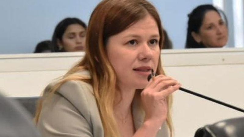 Impulsan creación de un "Fondo para el Acceso Universal a los Servicios Públicos Básicos"