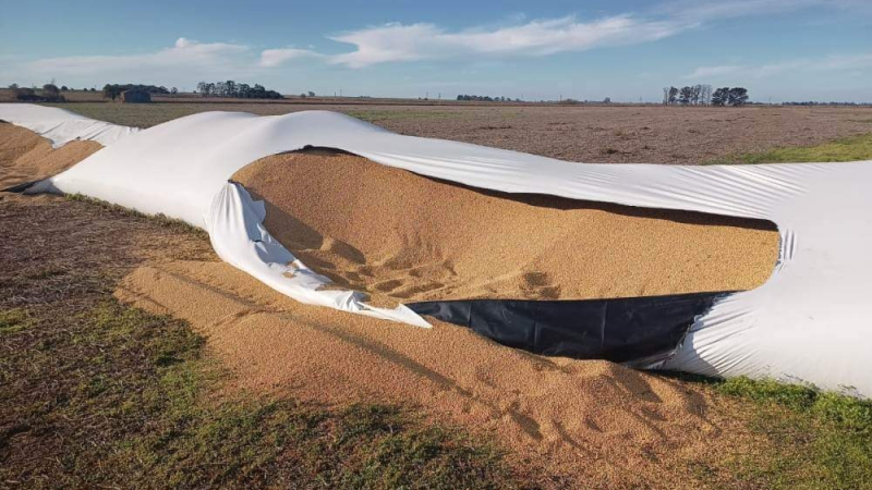 Patrullas civiles de productores refuerzan destacamentos policiales en el campo