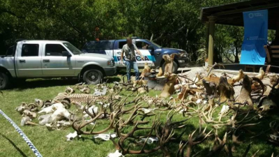 El lado oscuro de los cotos de caza y los 40 yaguaretés fotografiados muertos