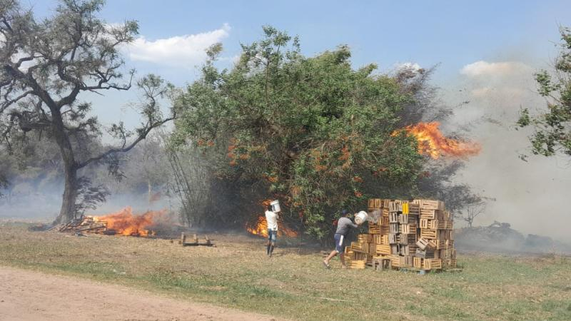 Notable reducción de los focos de incendio en el Chaco durante 2023