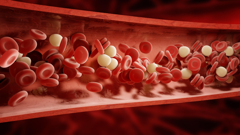 El análisis de proteínas en la sangre puede predecir la demencia