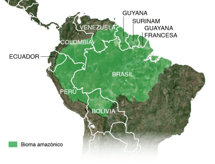 Amazonas2.jpg