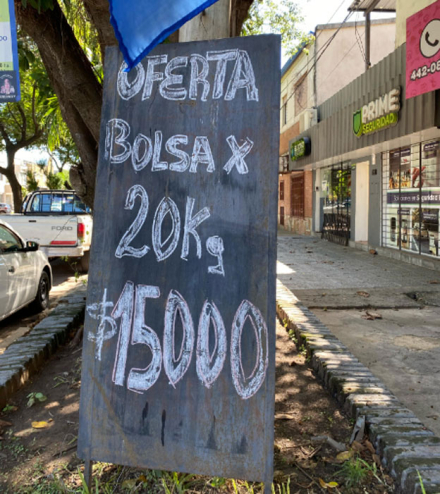 mascotas.jpg