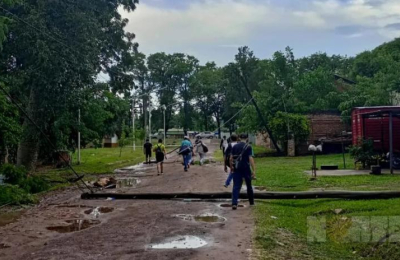 Un temporal derribó postes y dejó sin luz varias horas a vecinos de Puerto Tirol