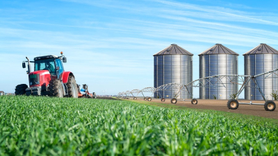 Cosechas robadas: empresas del agronegocio evaden millones de dólares vía Uruguay