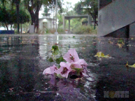 lluvia13.jpg