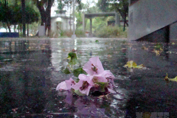 Así llegó otoño al Gran Resistencia