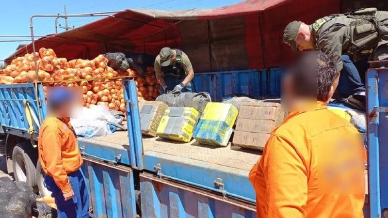 Salta: decomisan 861 kilos de cocaína ocultos en calabazas