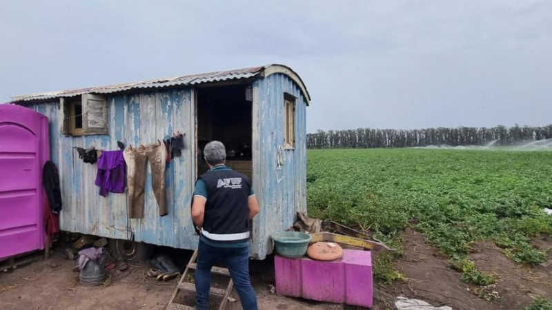 Rescataron a 15 trabajadores explotados en campo de peras y manzanas