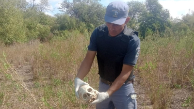 Salió a juntar leña para cocinar y encontró un cráneo humano