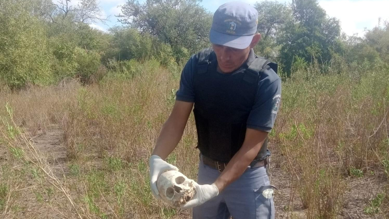 Salió a juntar leña para cocinar y encontró un cráneo humano