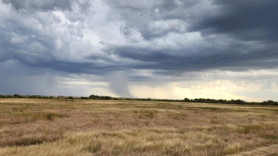 "La variabilidad en las lluvias no permite que la agricultura sea fácil"