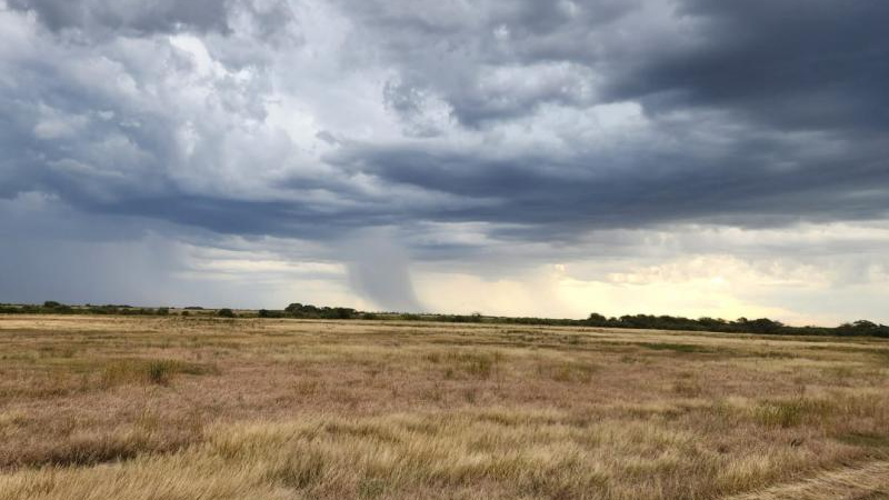 "La variabilidad en las lluvias no permite que la agricultura sea fácil"