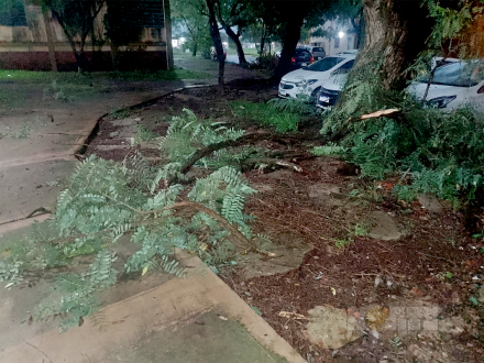lluvia8.jpg