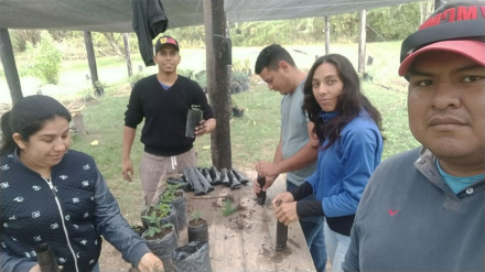 entrenamiento.jpg