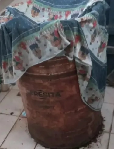 cuerpo.jpg