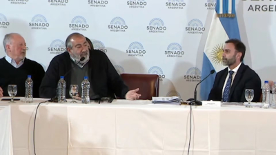 El Senado retomó el tratamiento en comisión de la ley de Bases con decenas de expositores