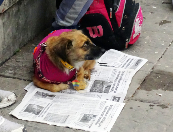 <p>Foto: Fabián Maldonado/NORTE</p>