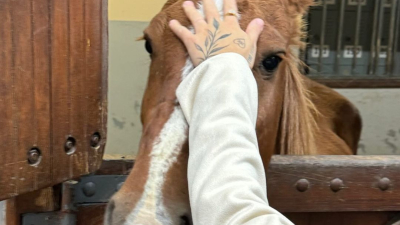 Caramelo, el caballo rescatado de las inundaciones en Brasil tiene Instagram