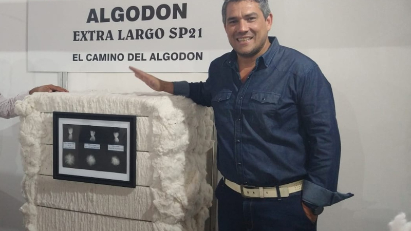 Al final de la campaña, el Chaco tendrá su primera tonelada de fibra extralarga